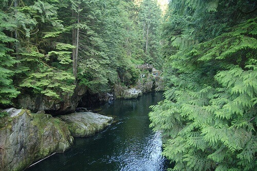 Picture showing the span of the Capilano River.