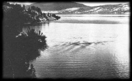 Ogopogo picture in 1964 by Eric Parmenter