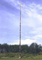 Tallest Totem Pole