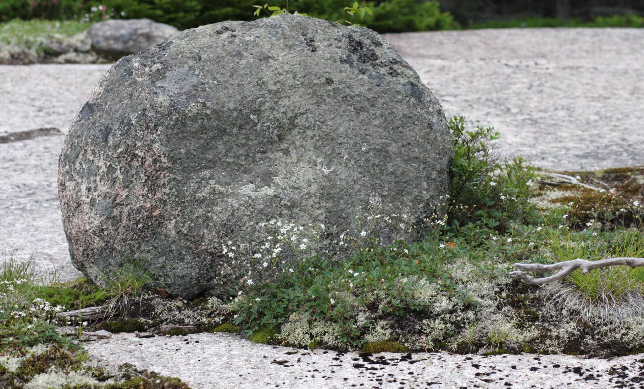 The Curse of Oak Island Season Finale Amazing Discoveries
