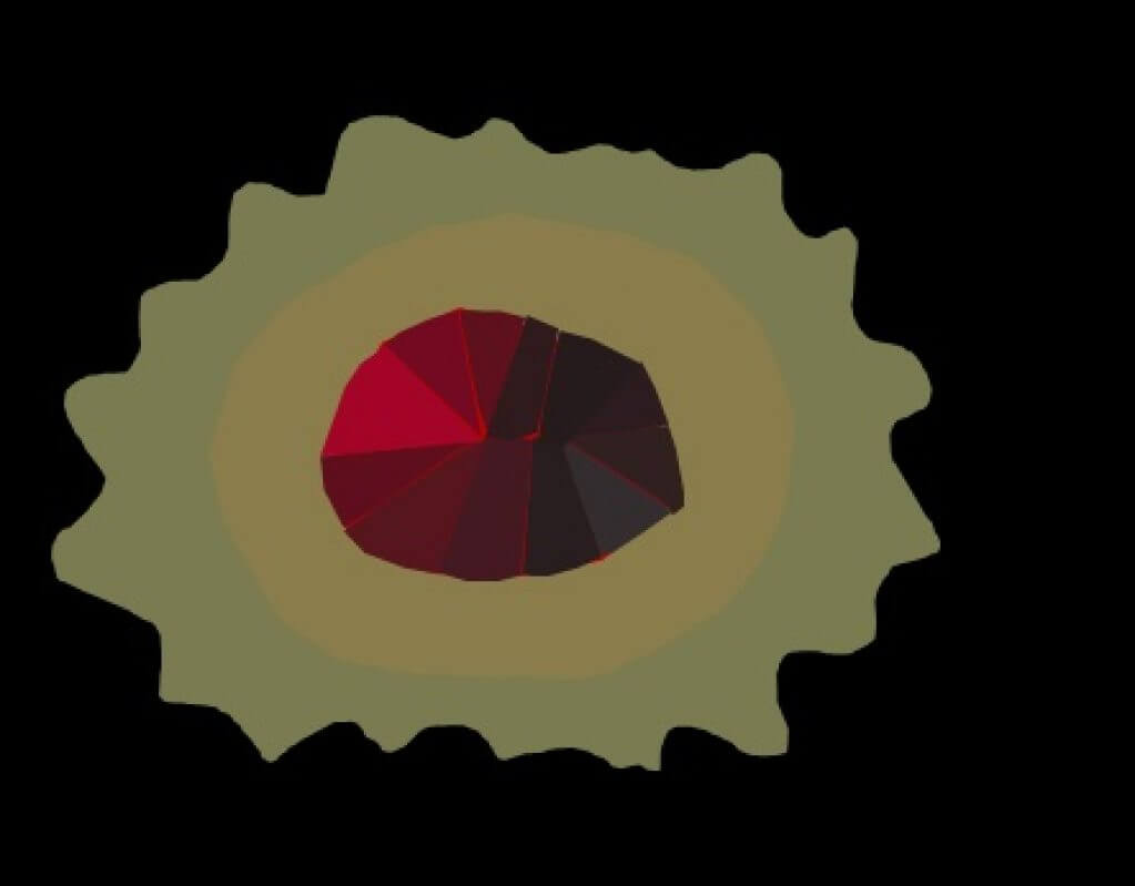 The Curse of Oak Island Season Finale Amazing Discoveries