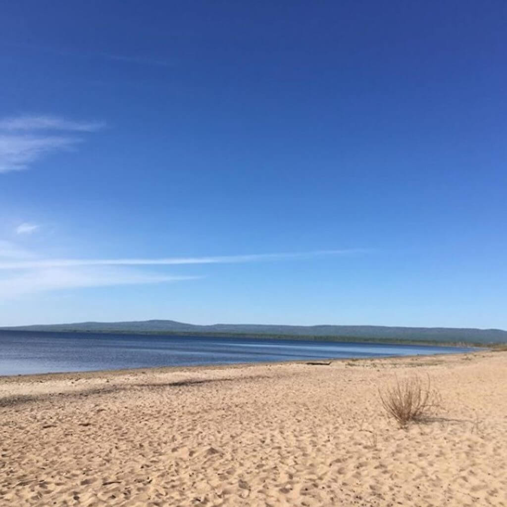 The Dream that Solved a Murder