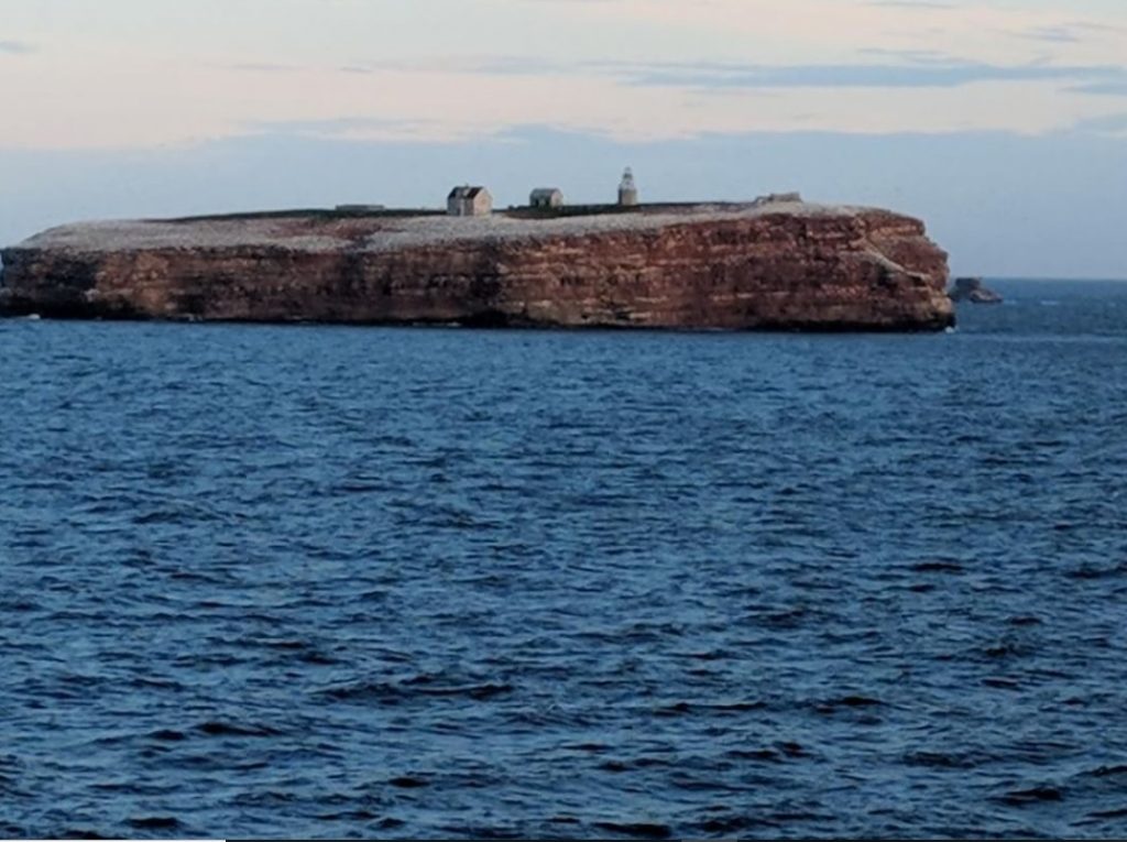 The Cursed Lighthouse of Bird Rock