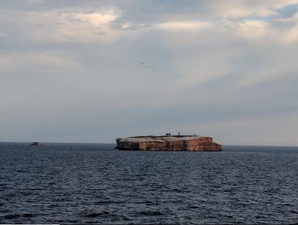The Cursed Lighthouse of Bird Rock