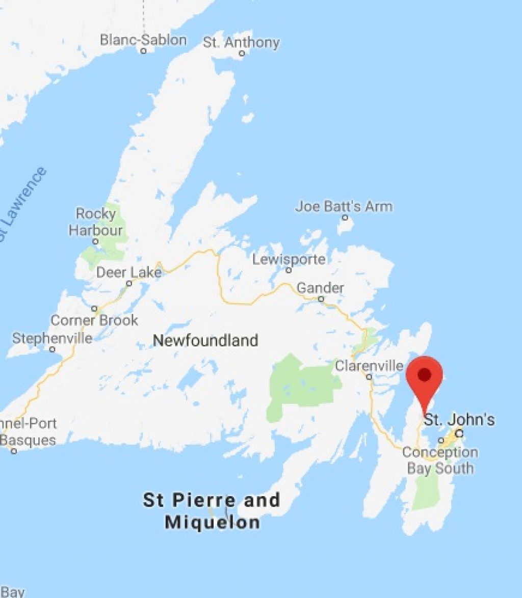 The Treasure of Shellbird Island