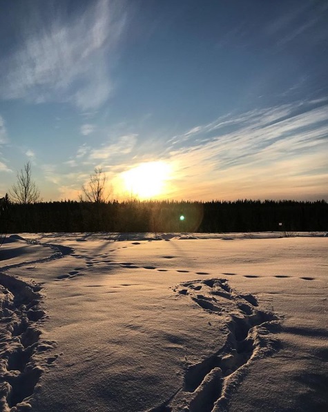 New 2018 Crawler Sighting in Canada's Northwest Territories - Canada ...