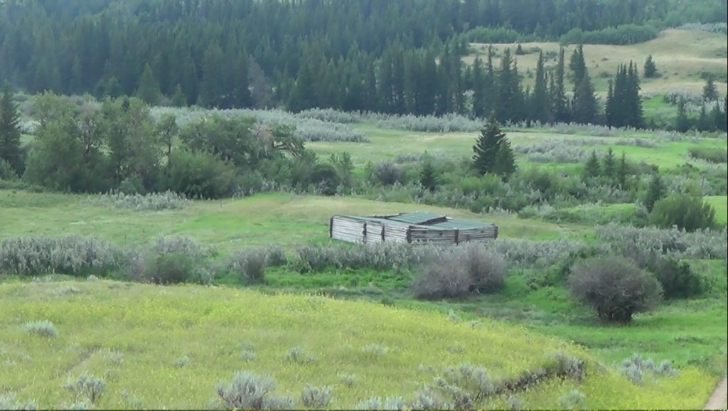 The Cypress Hills Massacre