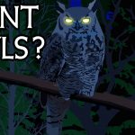Giant Owls in Canada?