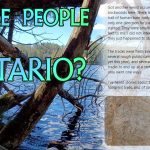 Little People in Ontario: Subscriber Sightings